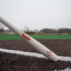 Eagle VTG Fungo Bat on field