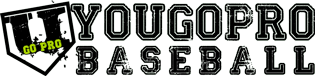 yougoprobaseball logo